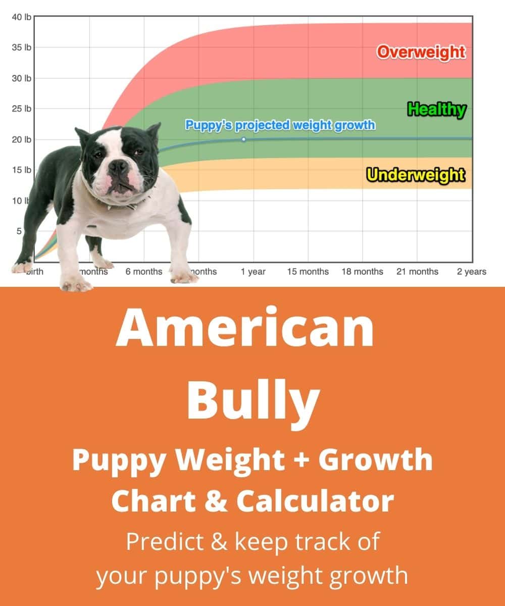 american-bully Puppy Weight Growth Chart